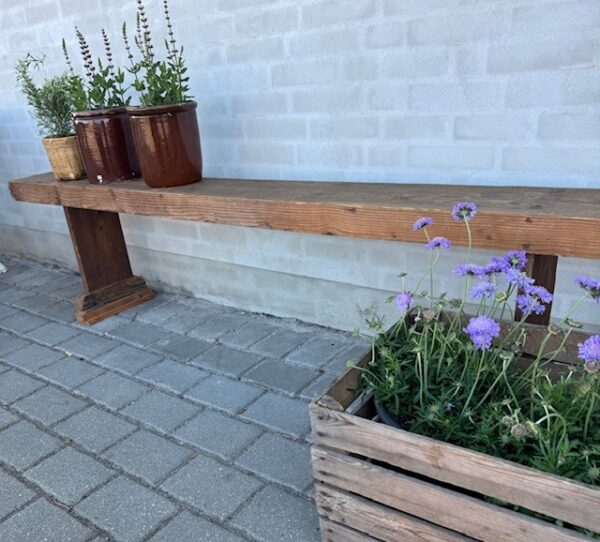 Bænke fra forsamlingshus